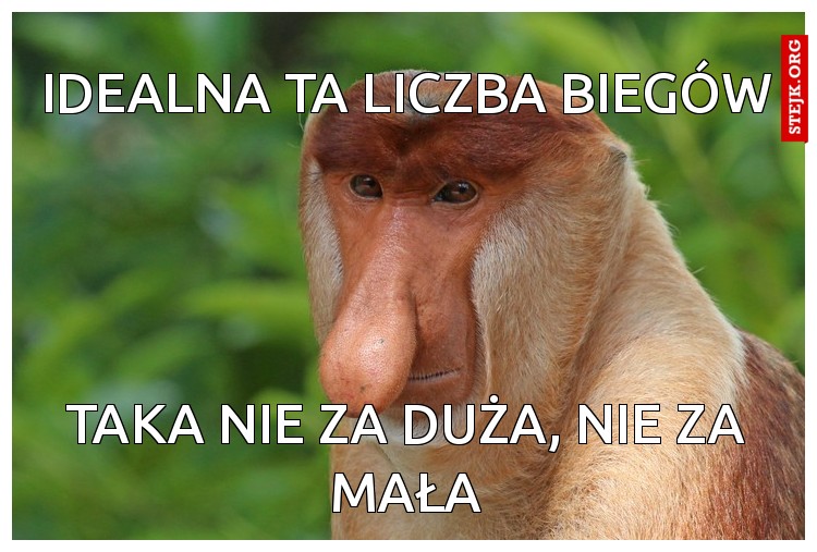 idealna ta liczba biegów