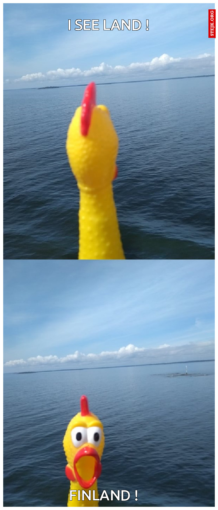 I see land !