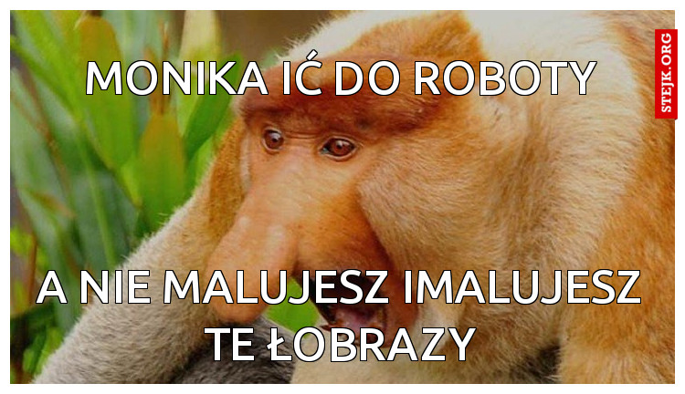 monika ić do roboty