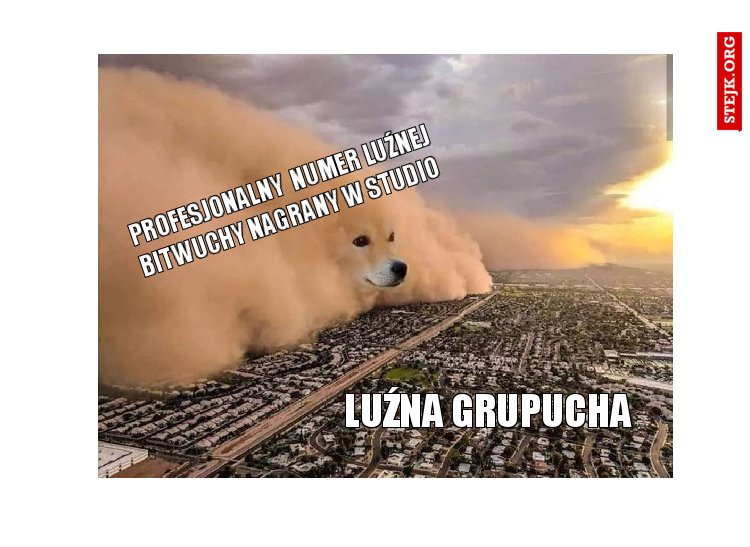 Luźna grupucha