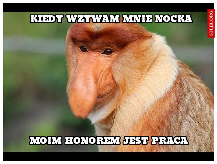 KIEDY WZYWAM MNIE NOCKA