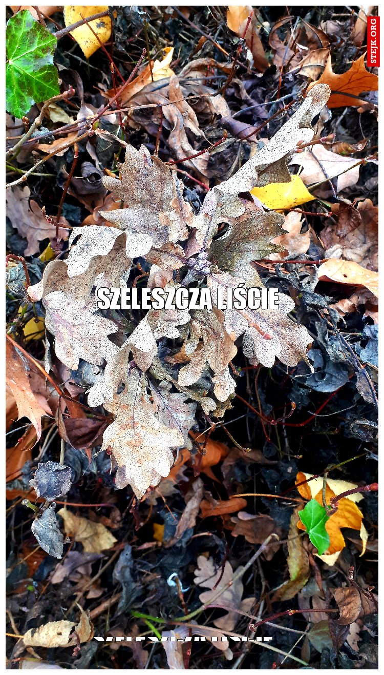 szeleszczą liście