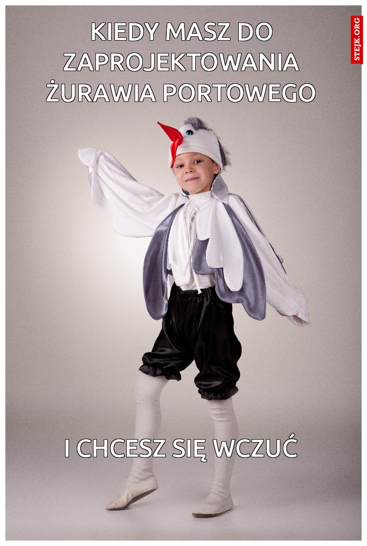 KIEDY MASZ DO ZAPROJEKTOWANIA ŻURAWIA PORTOWEGO