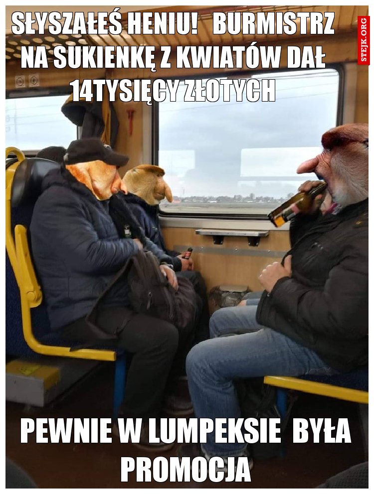 słyszałeś heniu!   Burmistrz na sukienkę z kwiatów dał 14tysięcy złotych