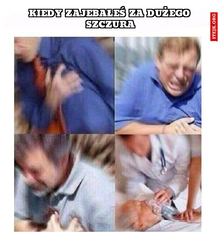 KIEDY ZAJEBAŁEŚ ZA DUŻEGO SZCZURA
