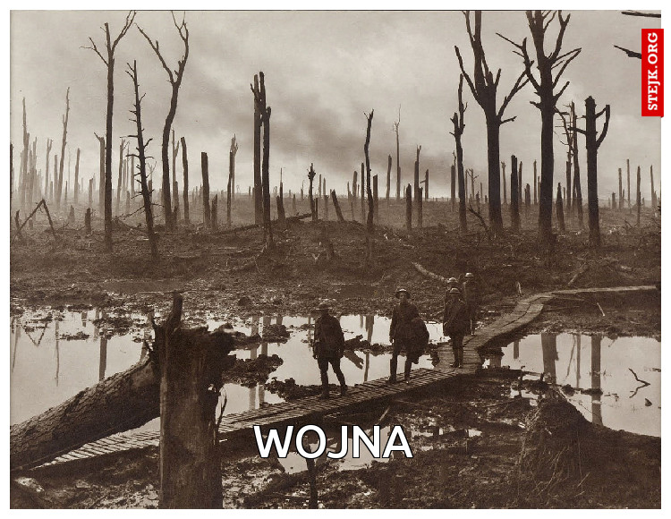 Wojna
