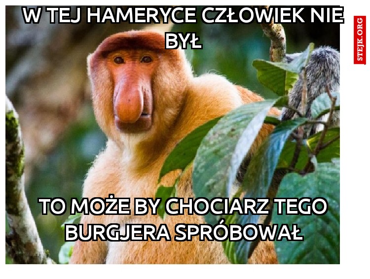 W TEJ HAMERYCE CZŁOWIEK NIE BYŁ