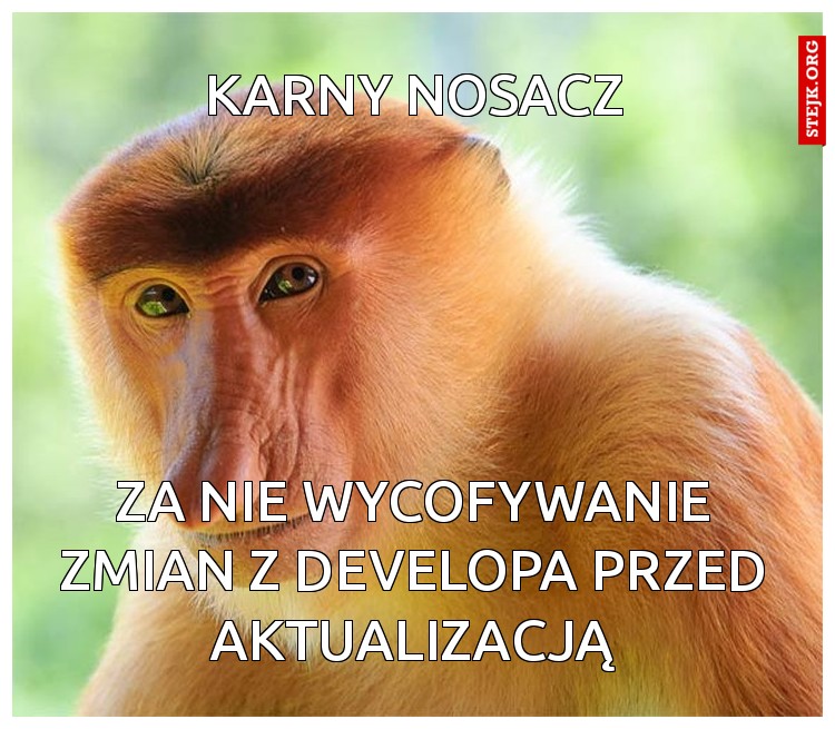 za nie wycofywanie zmian z developa przed aktualizacją