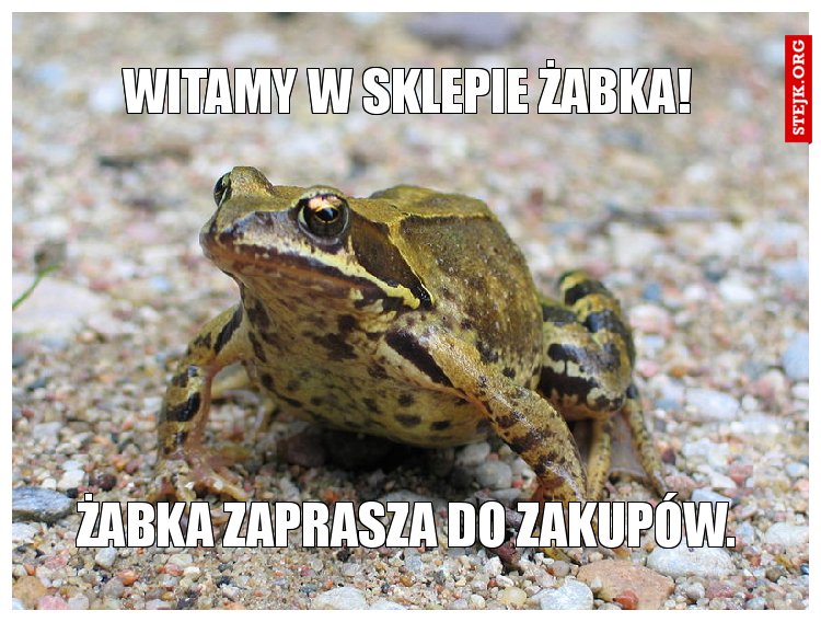 witamy w sklepie żabka!