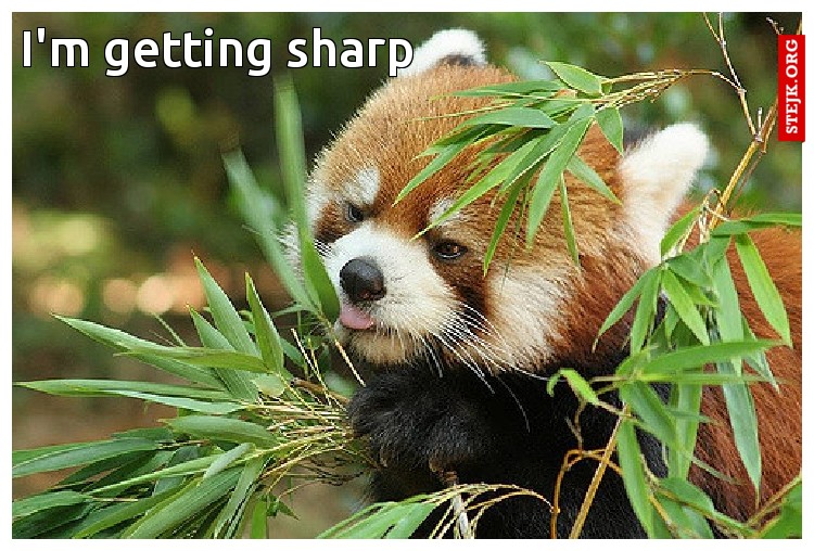 I'm getting sharp