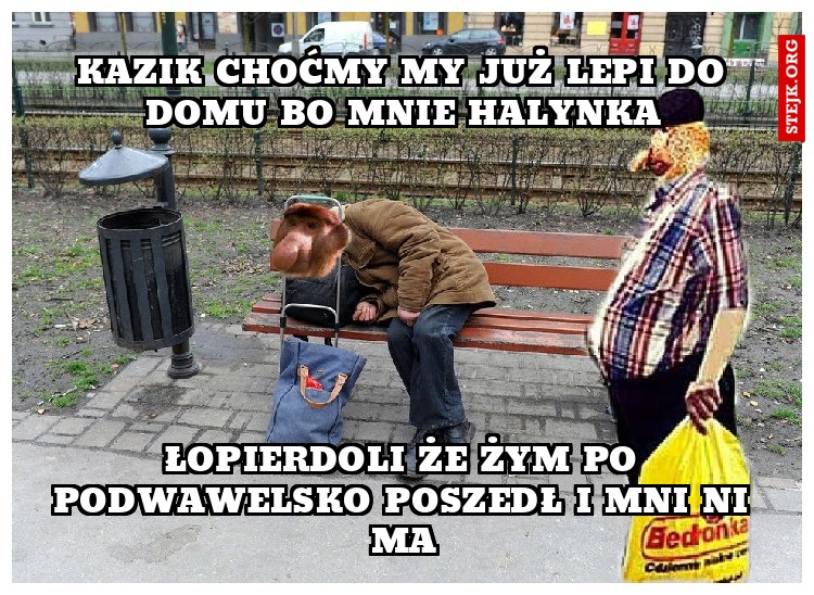 KAZIK CHOĆMY MY JUŻ LEPI DO DOMU BO MNIE HALYNKA