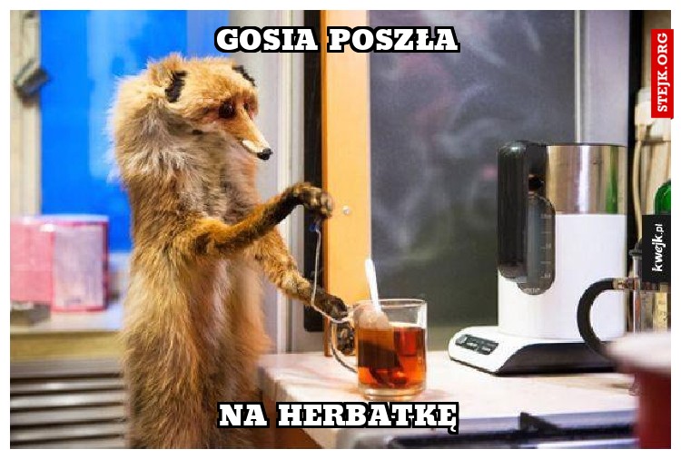 GOSIA POSZŁA