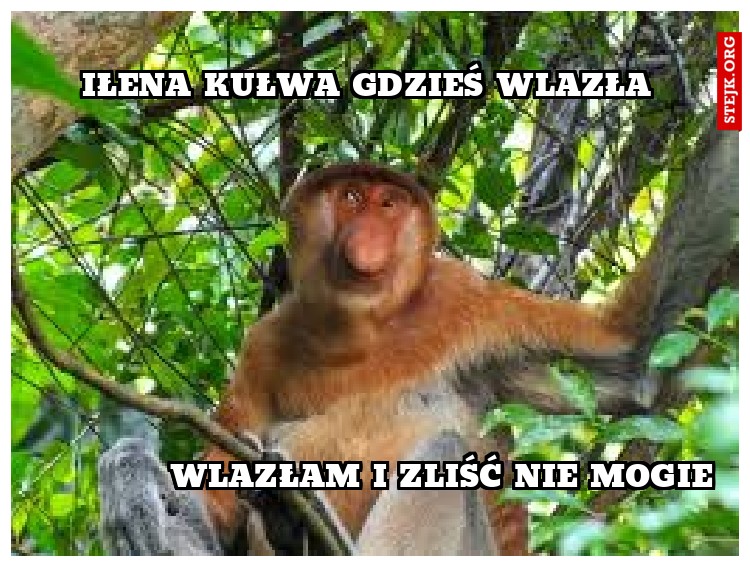 IŁENA KUŁWA GDZIEŚ WLAZŁA 