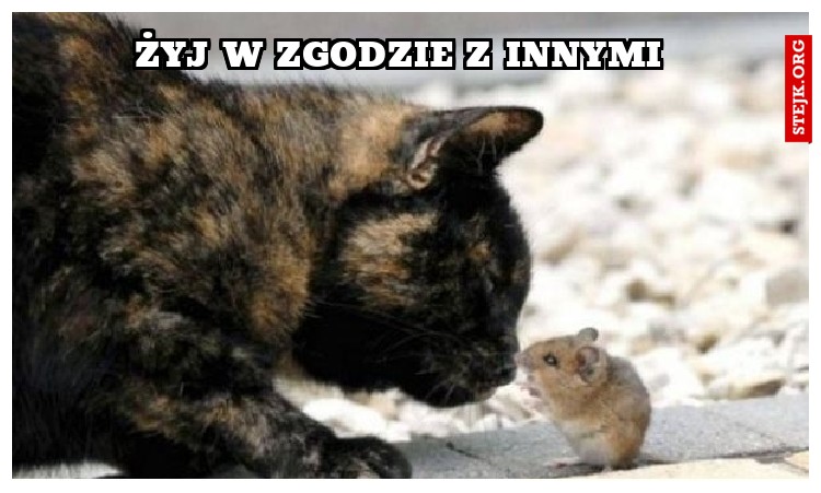 Żyj w zgodzie z innymi