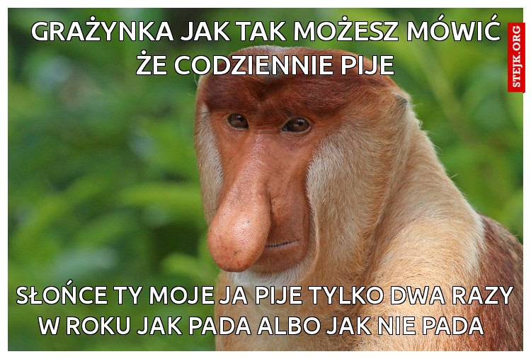 Grażynka jak tak możesz mówić że codziennie pije