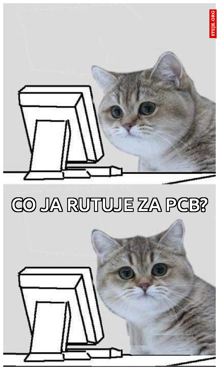 CO JA RUTUJE ZA PCB?