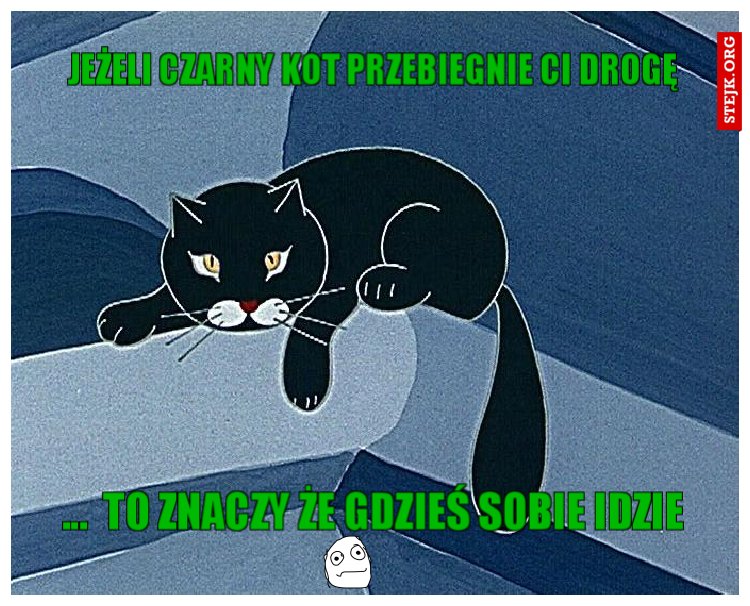 jeżeli czarny kot przebiegnie ci drogę