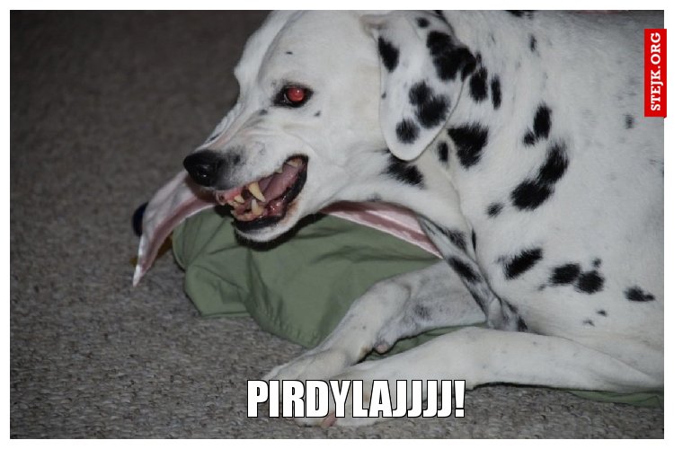 PIRDYLAJJJJ!