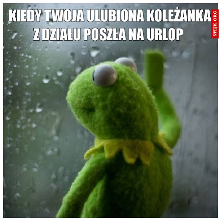 Kiedy twoja ulubiona koleżanka z działu poszła na urlop 