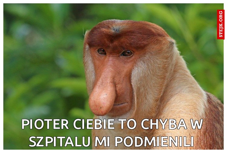 Pioter ciebie to chyba w szpitalu mi podmienili