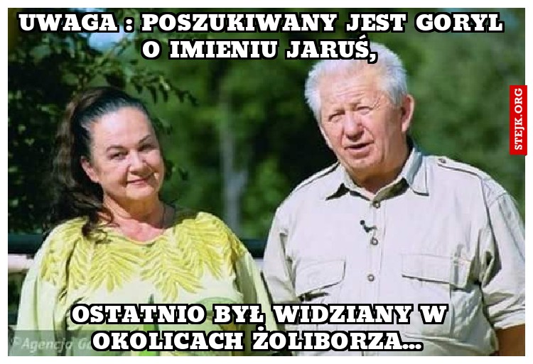 Uwaga : poszukiwany jest goryl o imieniu jaruś, 