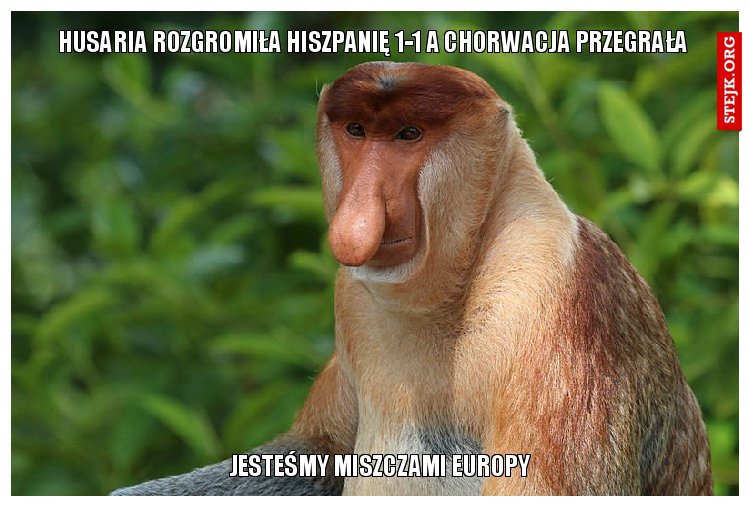 HUSARIA ROZGROMIŁA HISZPANIĘ 1-1 A CHORWACJA PRZEGRAŁA