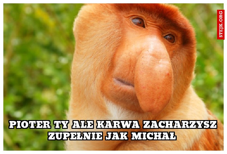 Pioter ty ale karwa Zacharzysz zupełnie jak Michał 