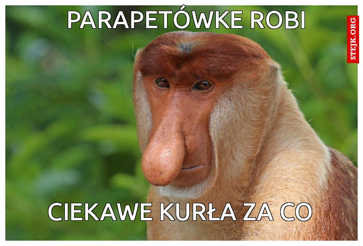 parapetówke robi