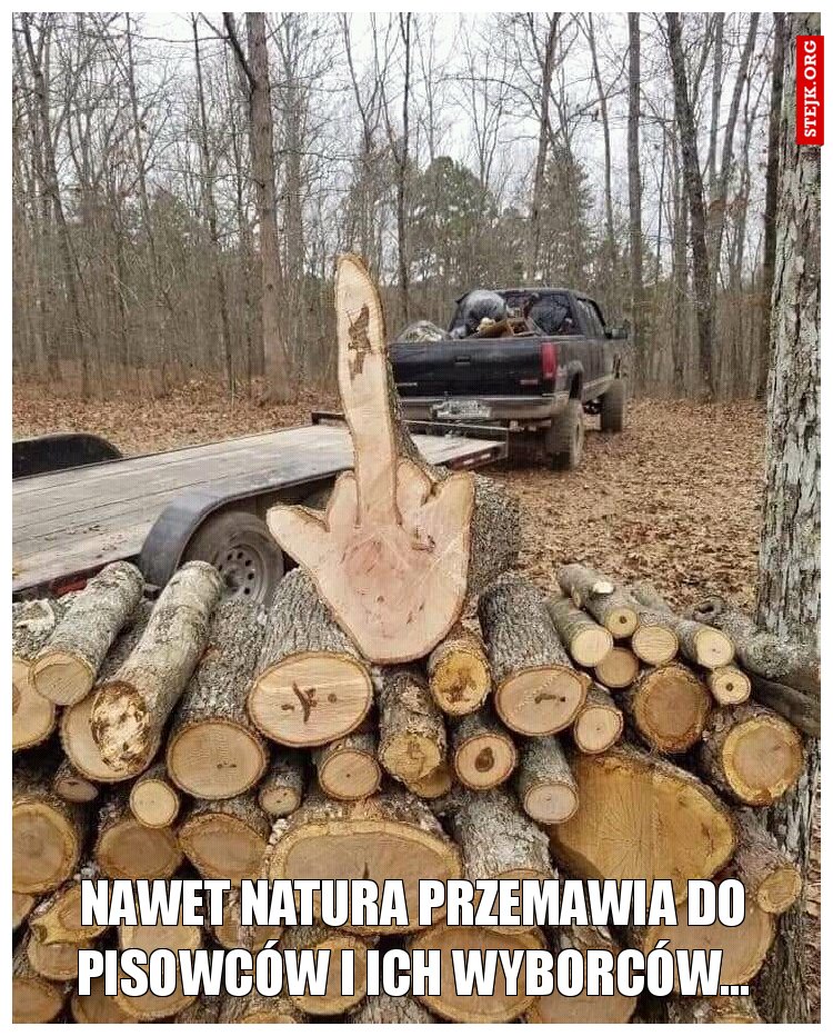 Nawet natura przemawia do pisowców i ich wyborców...