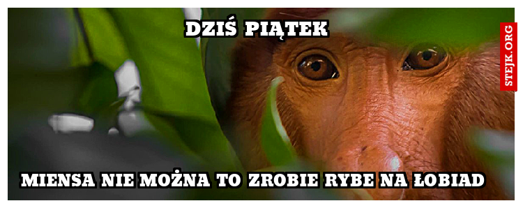 Wódki nie pijesz, do kościoła nie chodzisz