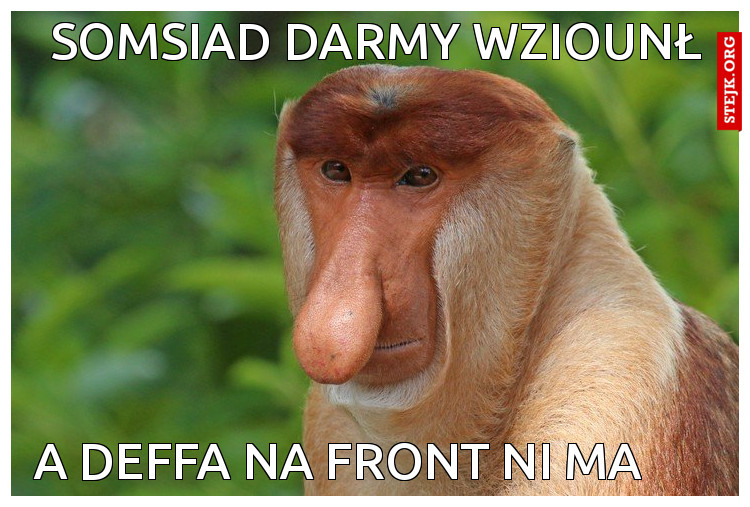 somsiad darmy wziounł