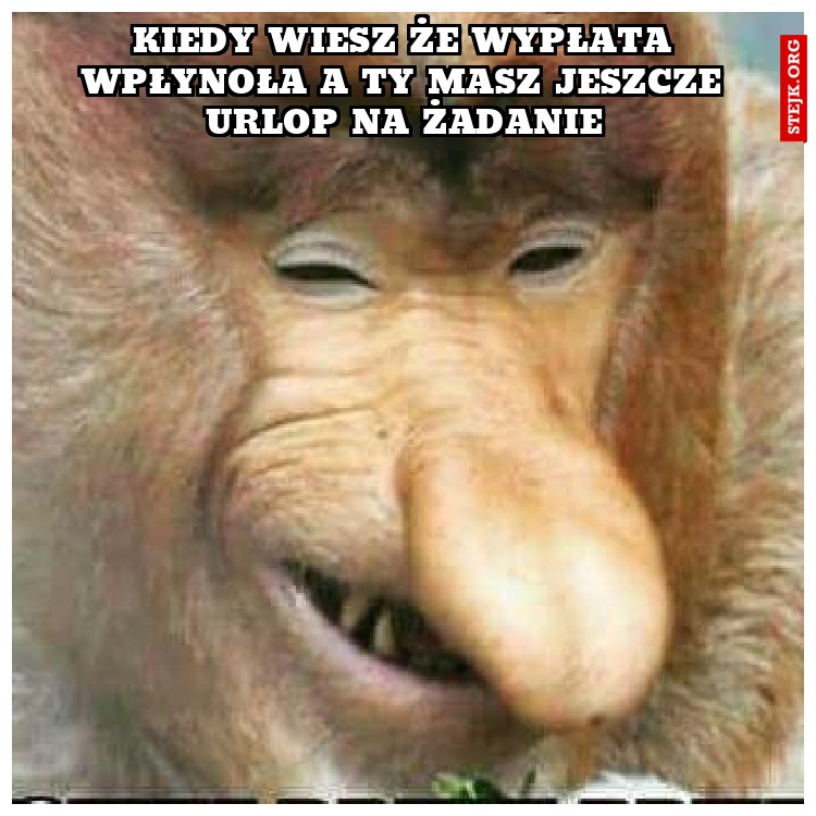 kiedy wiesz że wypłata wpłynoła a ty masz jeszcze urlop na żadanie