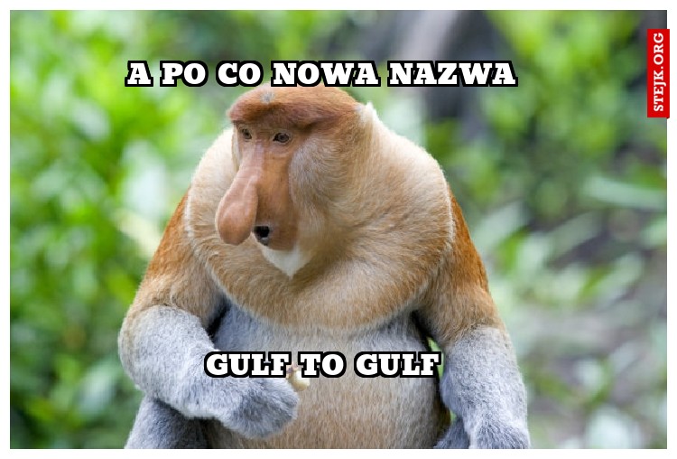 Gulf to Gulf