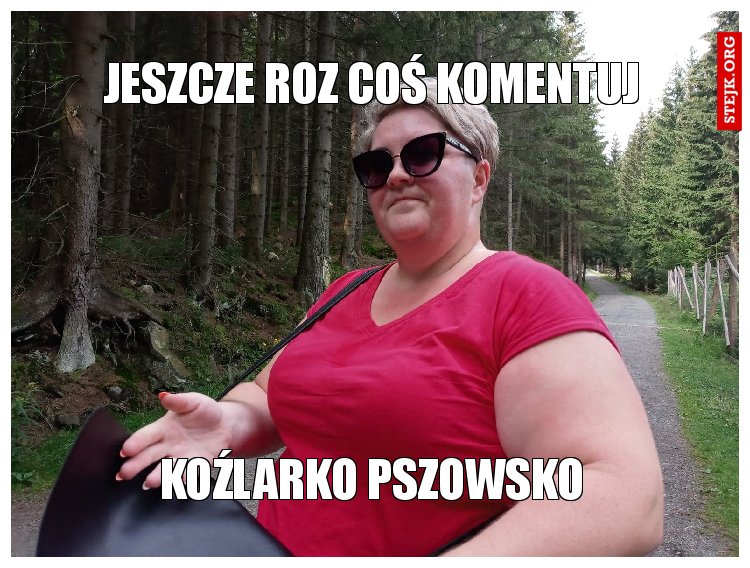 JESZCZE ROZ COŚ KOMENTUJ