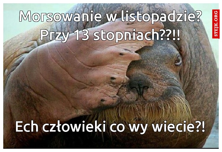 Morsowanie? W listopadzie? Przy 13 stopniach?!