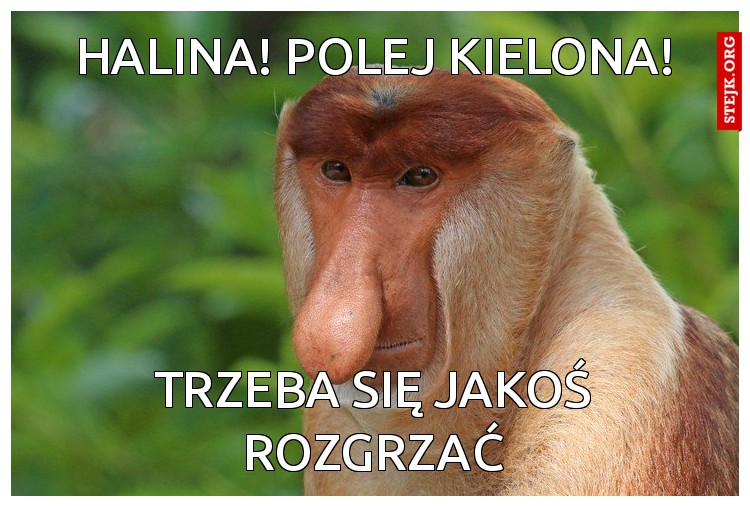 Halina! polej kielona!