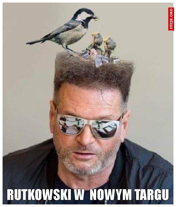 rutkowski w  nowym targu