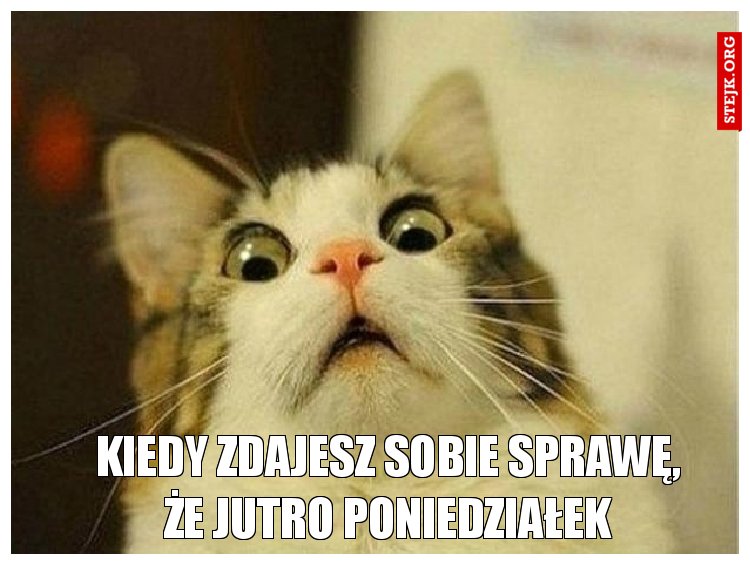 KIEDY ZDAJESZ SOBIE SPRAWĘ, ŻE JUTRO PONIEDZIAŁEK