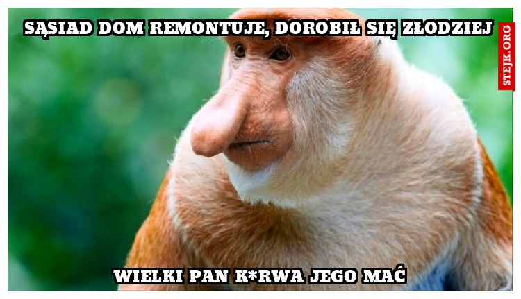 Sąsiad dom remontuje, dorobił się złodziej