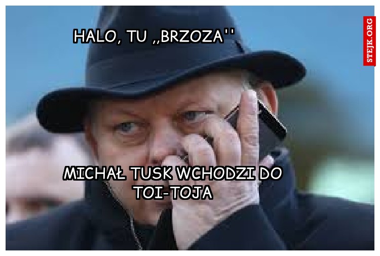 halo, tu ,,brzoza''