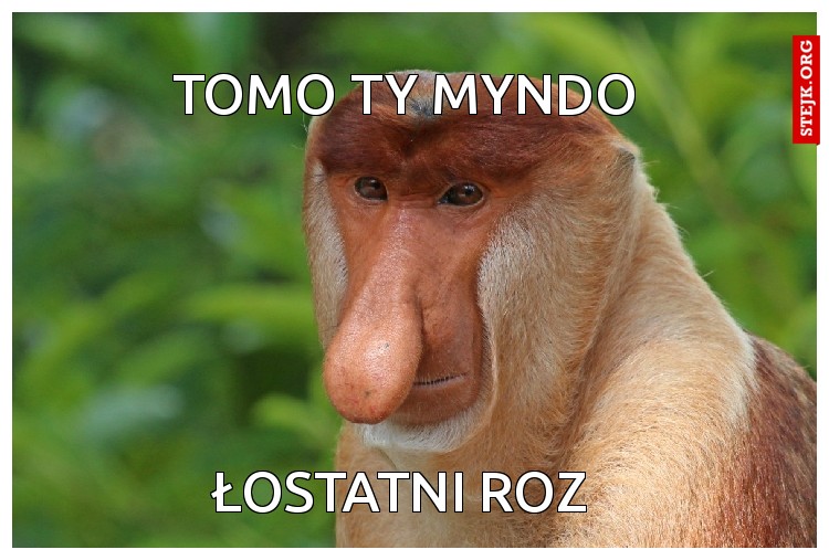 Tomo ty myndo 