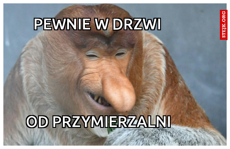 pewnie w drzwi 