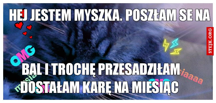Hej jestem Myszka. Poszłam se na