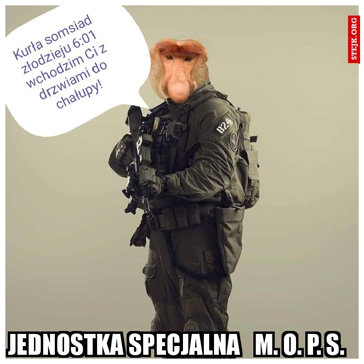 Jednostka specjalna   m. O. P. S. 