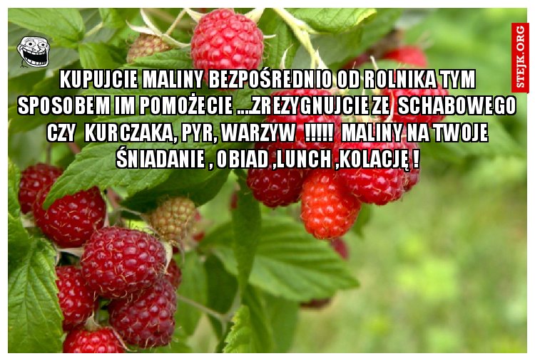 Kupujcie maliny bezpośrednio od rolnika tym sposobem im pomożecie ....zrezygnujcie ze  schabowego czy  kurczaka, pyr, warzyw  !!!!!  Maliny na twoje śniadanie , obiad ,lunch ,kolację !