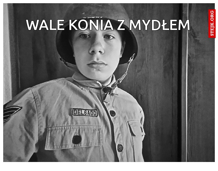 wale konia z mydłem