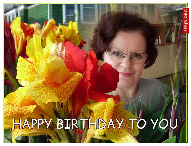 happy birthday to you