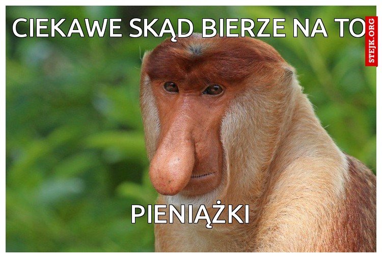 CIEKAWE SKĄD Bierze na to 
