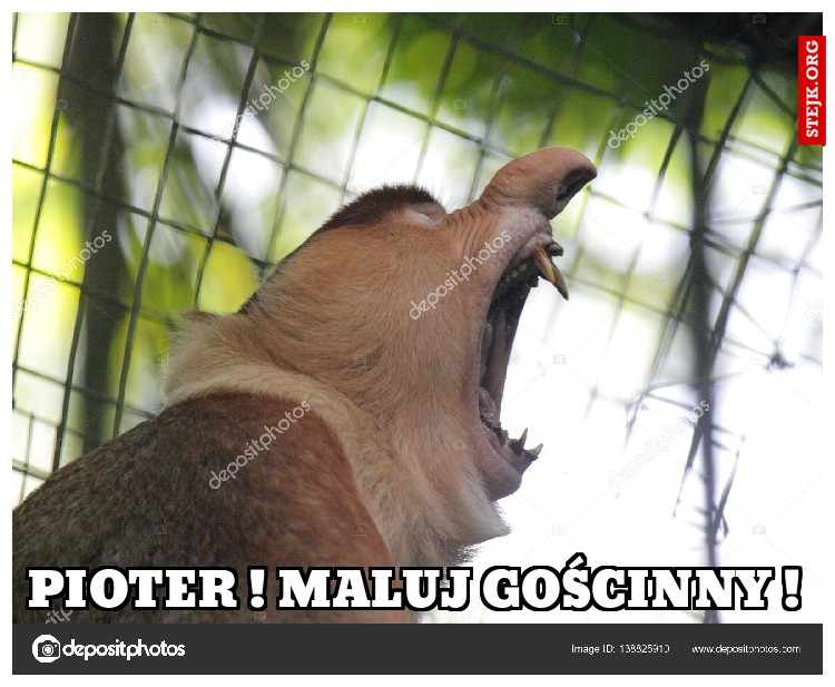 PIOTER ! MALUJ GOŚCINNY