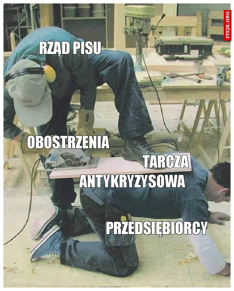 rząd pisu